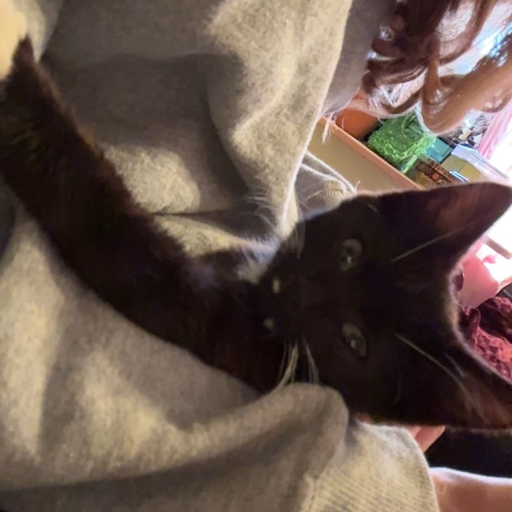 Meet your Posher, Bri